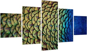 Obraz - Pawie pióra (125x70 cm)