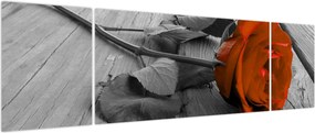 Obraz - Pomarańczowa róża (170x50 cm)