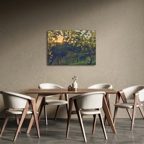 Obraz - Winnica (70x50 cm)