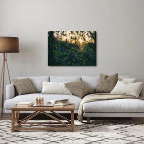 Obraz słońca przeświecającego przez gałęzie drzew (70x50 cm)