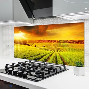 Panel Kuchenny Złota Godzina Nad Polem