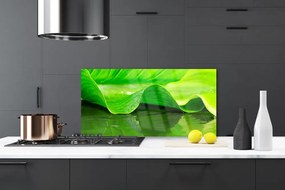 Panel Szklany Makro Struktura Liścia