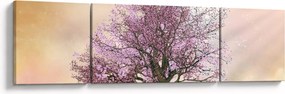 Obraz kwitnącego drzewa na szczycie wzgórza (170x50 cm)
