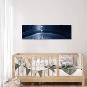Obraz - Krople (170x50 cm)