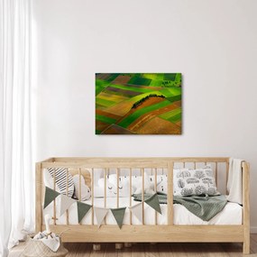 Obraz - Pola, łąki (70x50 cm)