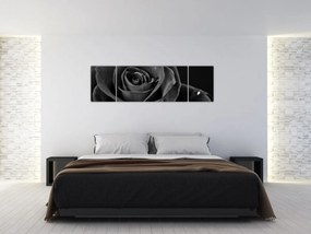 Obraz - Czerwona róża (170x50 cm)
