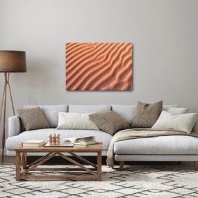 Obraz pustyni (70x50 cm)