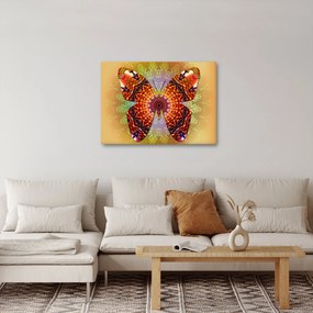 Obraz - Etno motyl (70x50 cm)