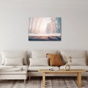 Obraz - Widok na las (70x50 cm)