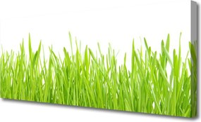 Obraz canvas Świeżość Letniego Trawnika