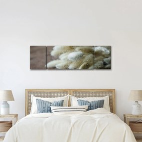 Obraz - Zajęczy ogonek (170x50 cm)