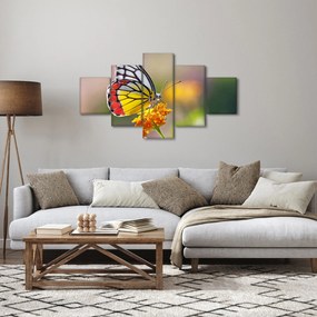 Obraz motyla na kwiatku (125x70 cm)
