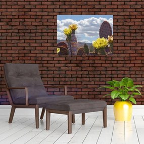 Obraz na szkle opuncji (70x50 cm)
