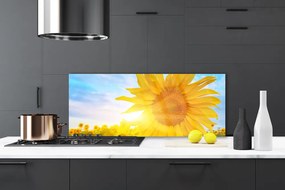 Panel Szklany Słonecznik w Pełnym Rozkwicie