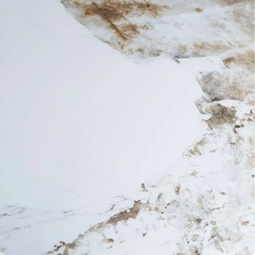 Stolik kawowy 45x50x45 cm biały złoty Modig M62