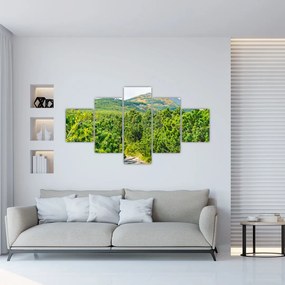 Obraz - Babia Góra, Polska (125x70 cm)