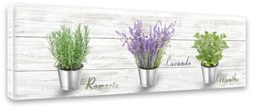 Obraz Styler Canvas Shabby Herbs, 27x75 cm