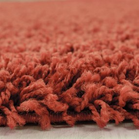 Dywan Shaggy Terra 240 cm x 340 cm