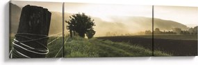 Obraz łąki (170x50 cm)
