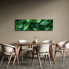 Obraz - Zielone liście (170x50 cm)