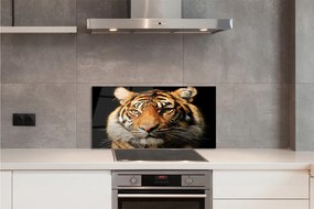 Panel szklany do Kuchni Skradający się Drapieżnik