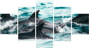 Obraz - Delfiny w oceanie (125x70 cm)