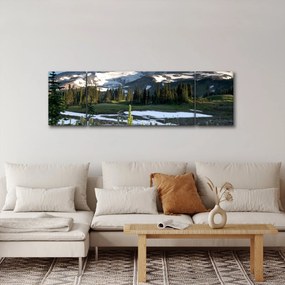 Obraz - Mount Rainier (170x50 cm)