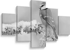 Obraz - Ptak na gałęzi (125x70 cm)