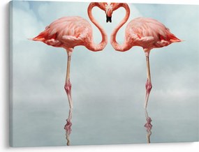 Obraz dwóch flamingów (70x50 cm)
