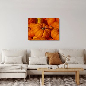 Obraz na szkle - Wspaniałe dynie (70x50 cm)