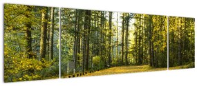 Obraz - las jesienią (170x50 cm)