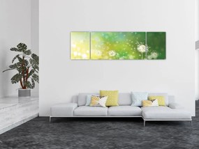 Obraz - Kwitnące mlecze (170x50 cm)
