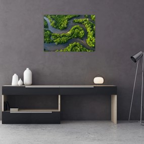 Obraz na szkle - Krajobraz leśny z rzeką (70x50 cm)