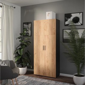 Szafka uniwersalna antracyt/złoty dąb 80x37x183.8 ingo