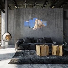 Obraz - Biały lew (125x70 cm)