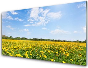 Panel Szklany do Kuchni Słoneczna Łąka Mniszków