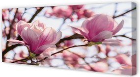 Duży obraz na płótnie Drzewa Magnolii
