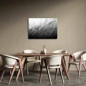 Obraz - Trawa na wietrze (70x50 cm)