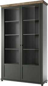 Witryna EVORA 2D zielona mat/dąb lefkas