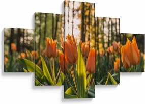 Obraz - kwiaty tulipanów (125x70 cm)