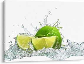 Obraz - Limes (70x50 cm)