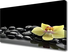 Obraz drukowany na płótnie Modernistyczny Akcent Kuchenny