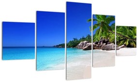 Obraz plaży na wyspie Praslin (125x70 cm)