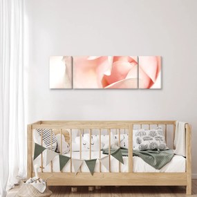 Obraz - Róża (170x50 cm)