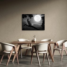 Obraz - Nocna sowa, czarno-biały (70x50 cm)