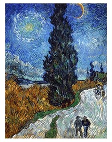 Reprodukcja obrazu Vincenta van Gogha Country Road in Provence by Night – Fedkolor, 45c60 cm