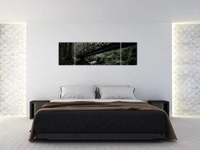 Obraz z czarnego lasu (170x50 cm)