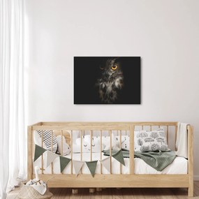 Obraz sowy (70x50 cm)