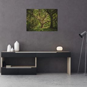 Obraz na szkle drzewa (70x50 cm)