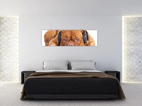 Obraz psa ze słuchawkami (170x50 cm)